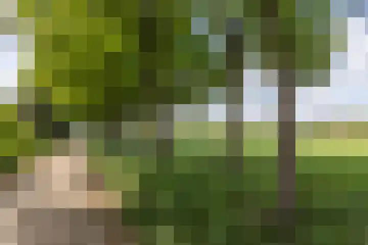 Barmentloo 38 a Neede thumbnail 36