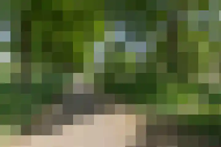 Barmentloo 38 a Neede thumbnail 37