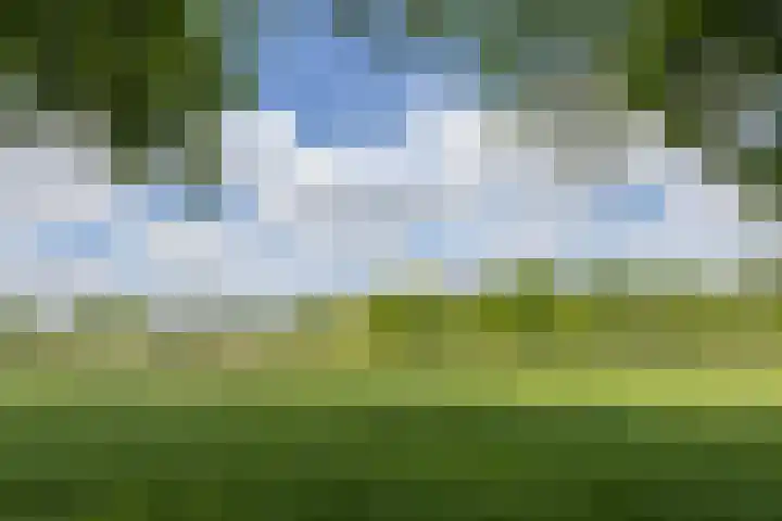 Barmentloo 38 a Neede thumbnail 38