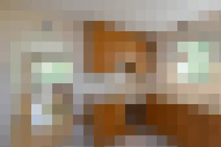 Barmentloo 38 a Neede thumbnail 9