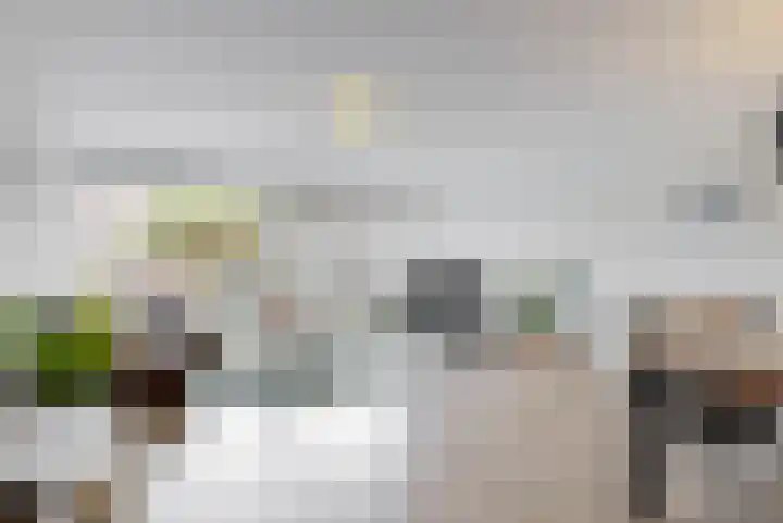 Barnar 155 Emmen thumbnail 15