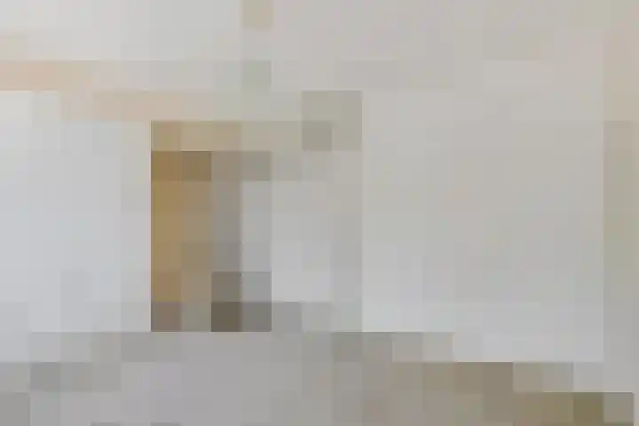 Barnar 155 Emmen thumbnail 16