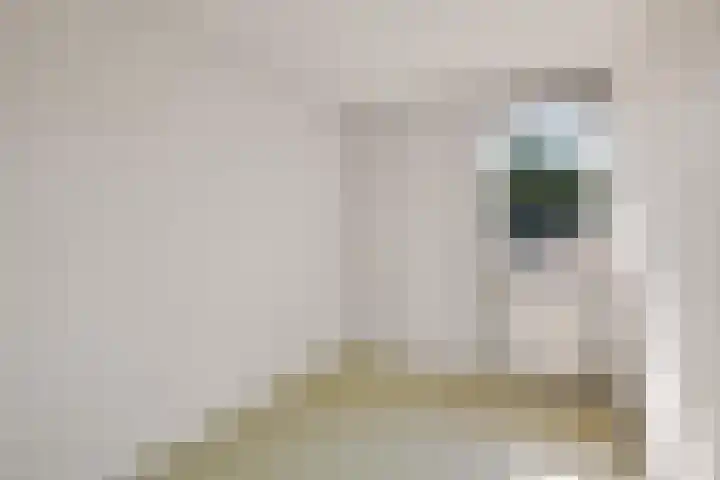 Barnar 155 Emmen thumbnail 19