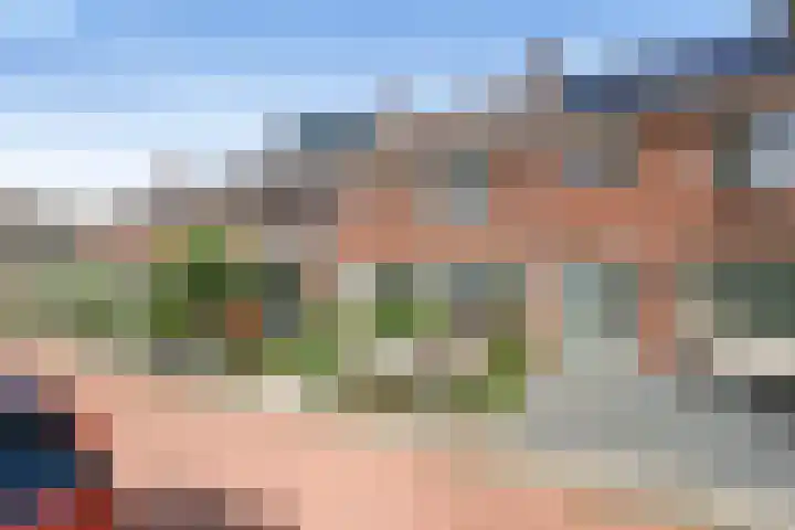 Barnar 155 Emmen thumbnail 20