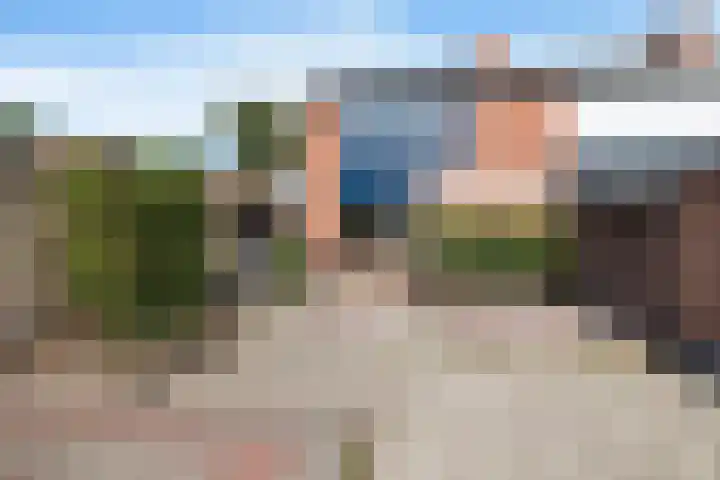 Barnar 155 Emmen thumbnail 21