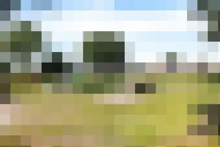 Barnar 155 Emmen thumbnail 22