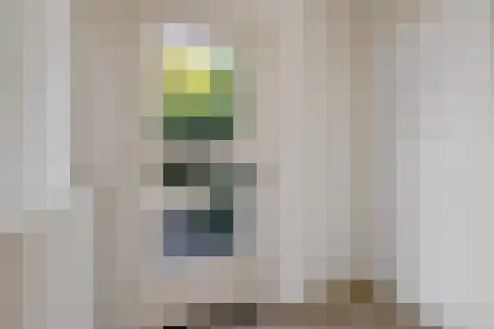 Barnar 155 Emmen thumbnail 4