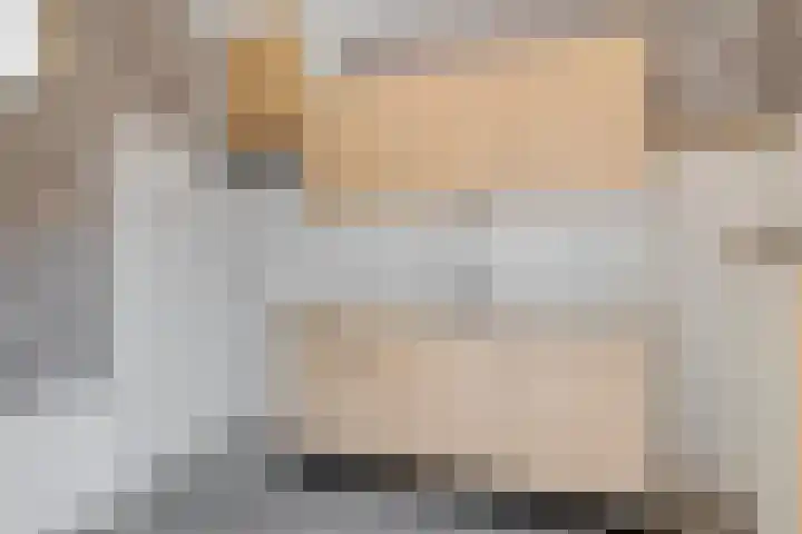 Barnar 155 Emmen thumbnail 8