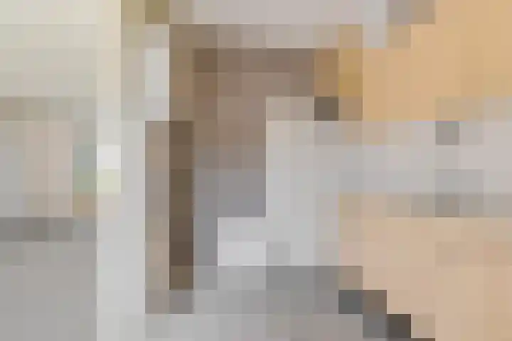 Barnar 155 Emmen thumbnail 9