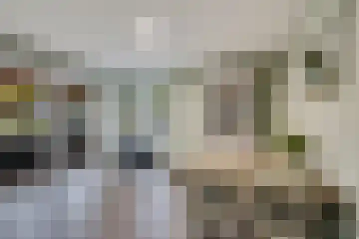 Barnflair West 11 Ter Apel thumbnail 14