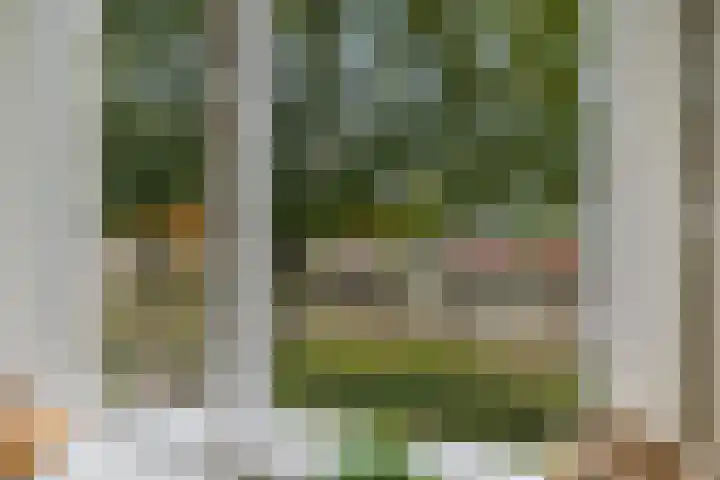Barnflair West 11 Ter Apel thumbnail 19