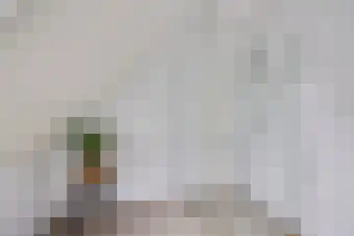 Barnflair West 11 Ter Apel thumbnail 26