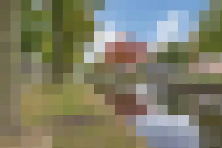 Barnflair West 11 Ter Apel thumbnail 4
