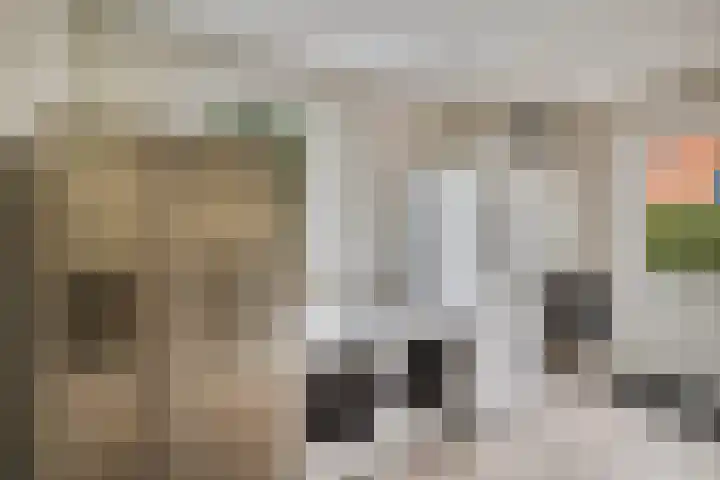 Barnflair West 11 Ter Apel thumbnail 7
