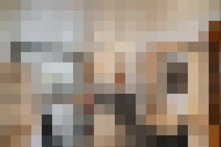 Barnsteen 10 Eindhoven thumbnail 20