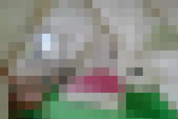 Barnsteen 10 Eindhoven thumbnail 32