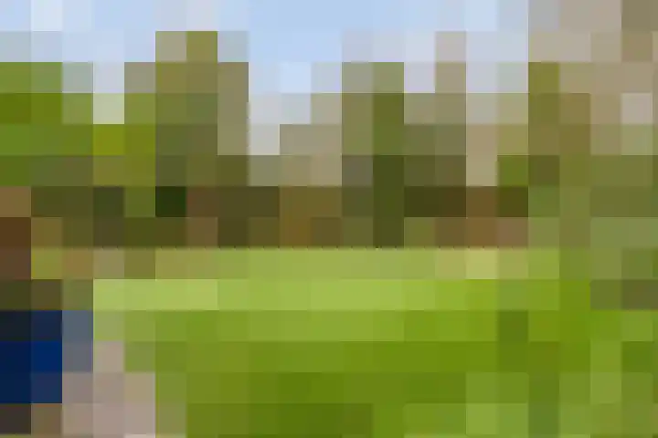 Barnsteen 10 Eindhoven thumbnail 4