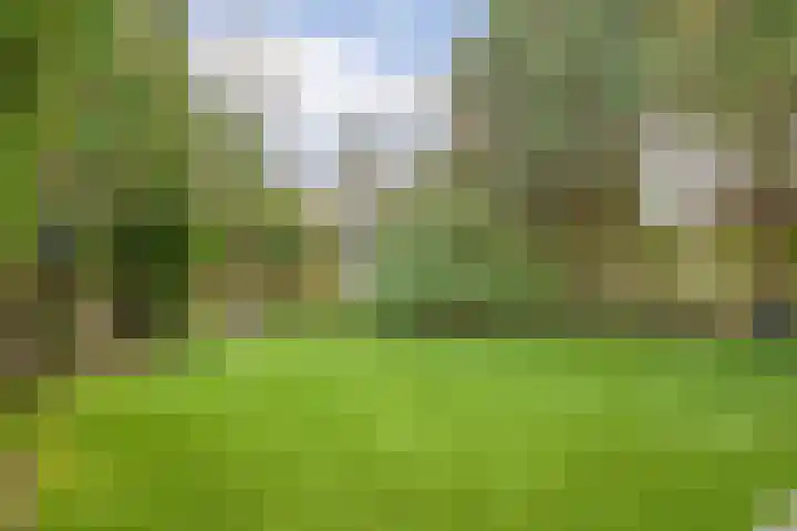 Barnsteen 10 Eindhoven thumbnail 41