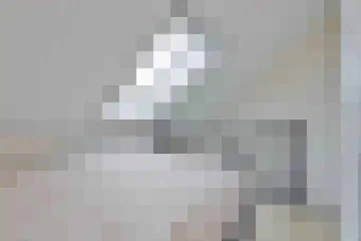 Barnsteen 11 Dalfsen thumbnail 9