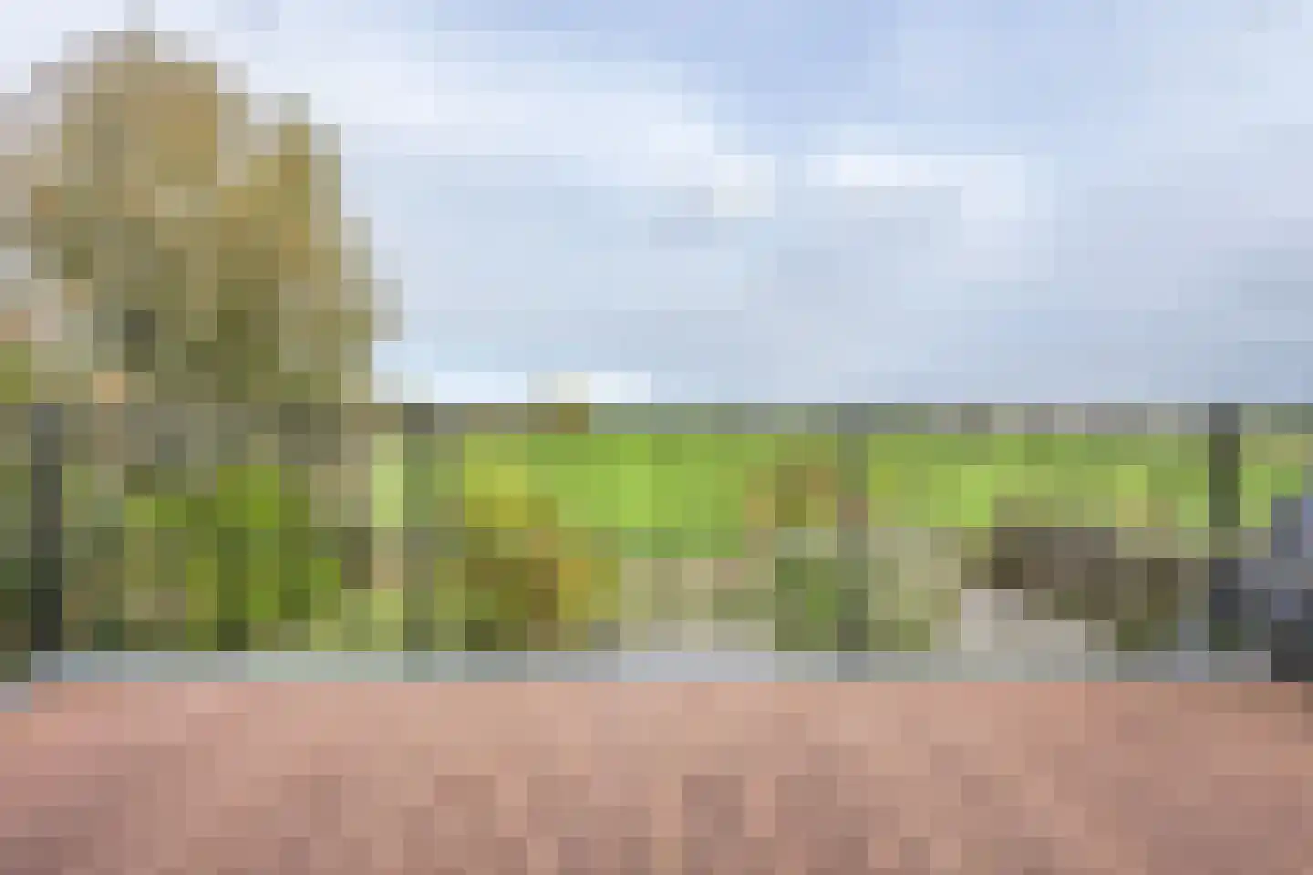 Barnsteen 28 Hoogwoud thumbnail 28