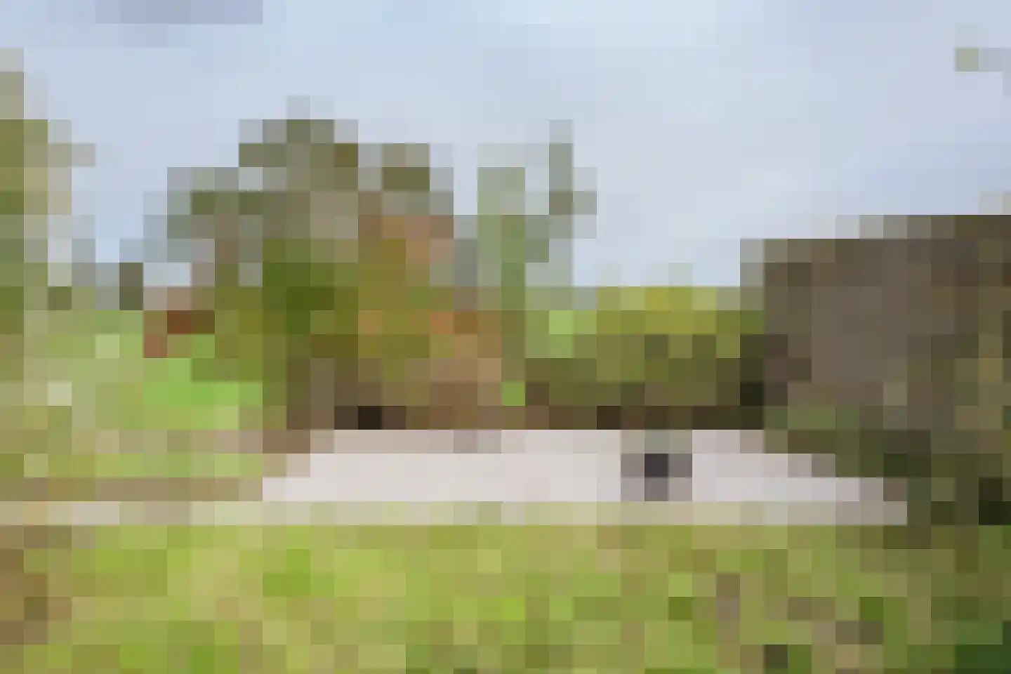 Barnsteen 28 Hoogwoud thumbnail 45