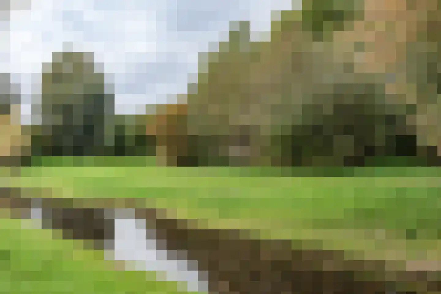 Barnsteen 28 Hoogwoud thumbnail 50