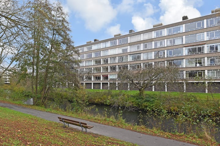 Barnsteenhorst 298 in 's-Gravenhage foto