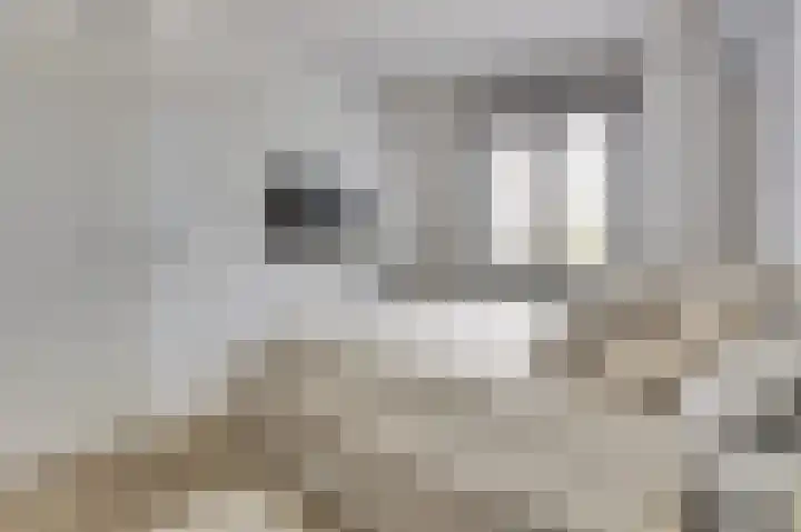 Baronesstraat 25 Grave thumbnail 14
