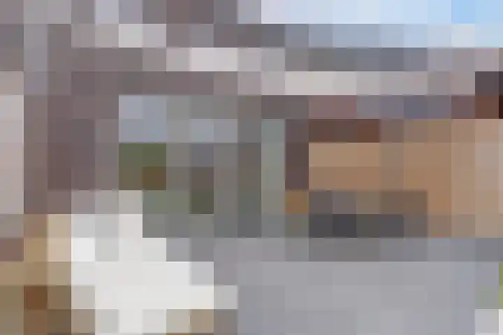 Baronesstraat 25 Grave thumbnail 28