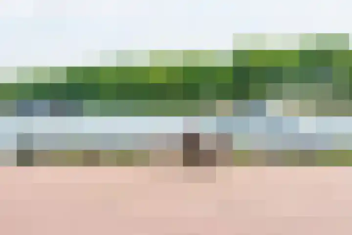 Baronesstraat 25 Grave thumbnail 40
