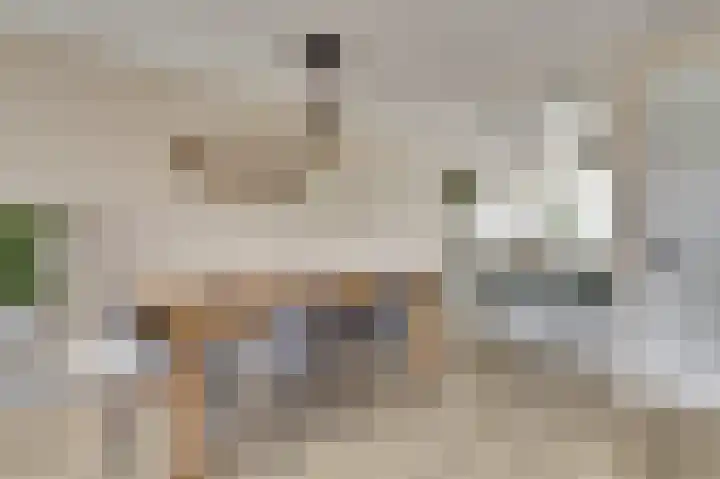 Baronesstraat 25 Grave thumbnail 7