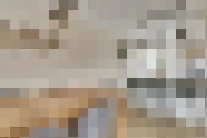 Baronesstraat 25 Grave thumbnail 8