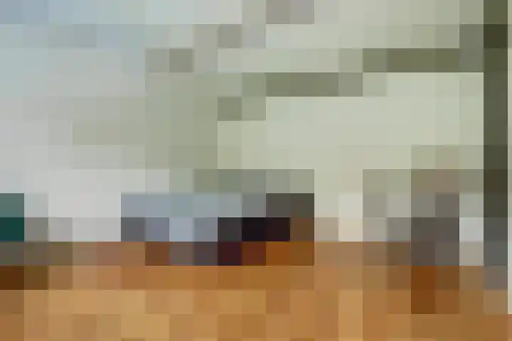 Baronie 1 Lelystad thumbnail 22