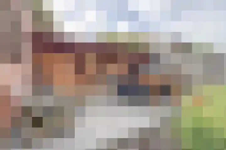 Baronie 1 Lelystad thumbnail 35