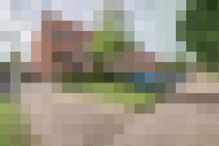 Baronie 1 Lelystad thumbnail 6
