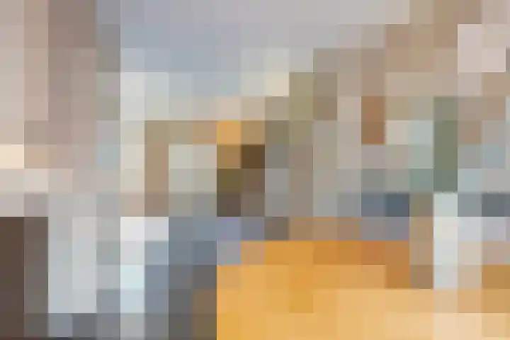 Baronie 21 Oss thumbnail 10