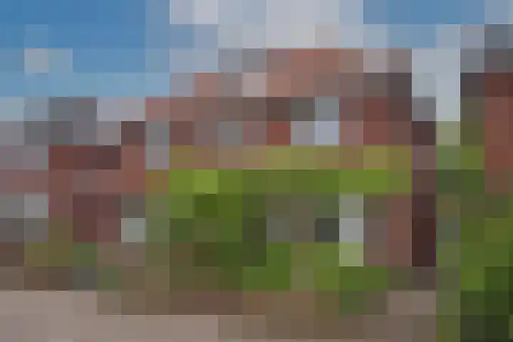 Baronie 21 Oss thumbnail 14