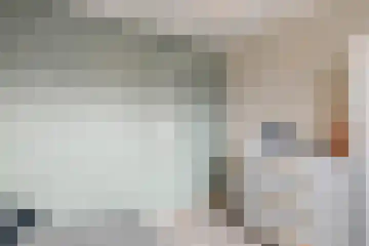 Baronie 21 Oss thumbnail 21