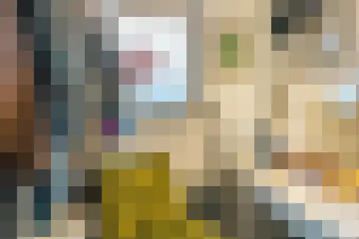 Baronie 21 Oss thumbnail 22