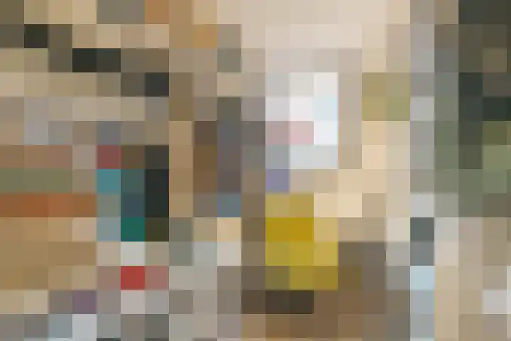 Baronie 21 Oss thumbnail 23