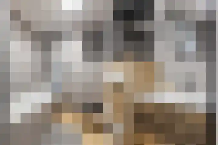 Baronie 21 Oss thumbnail 24