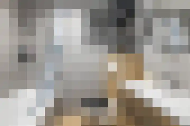 Baronie 21 Oss thumbnail 25