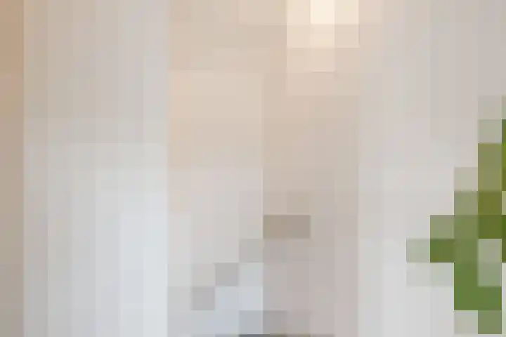 Baronie 21 Oss thumbnail 26