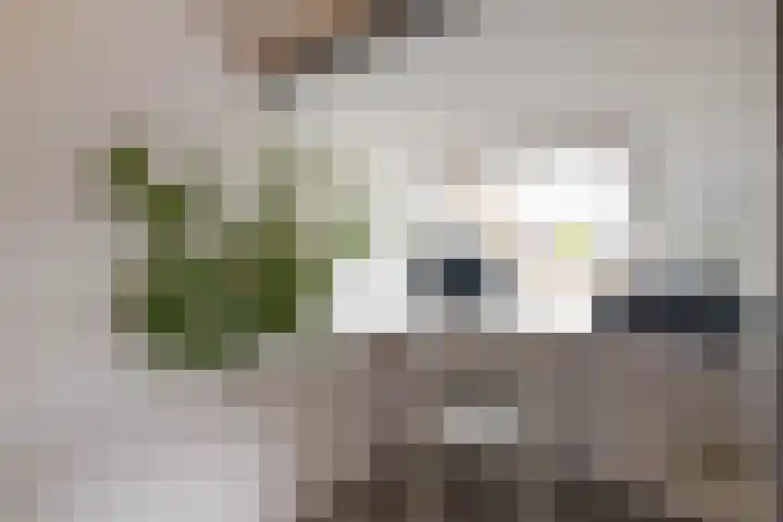 Baronie 21 Oss thumbnail 27