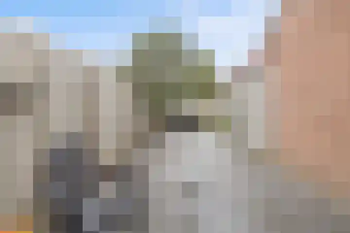 Baronie 21 Oss thumbnail 31