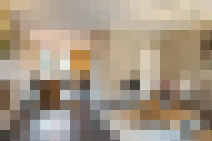 Baronie 21 Oss thumbnail 4