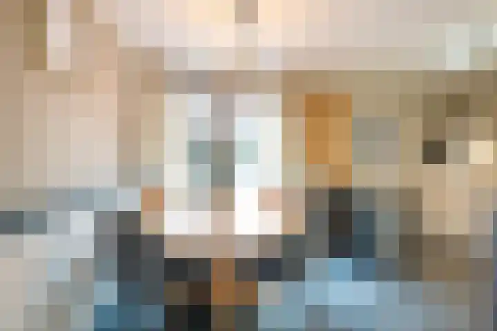 Baronie 21 Oss thumbnail 6