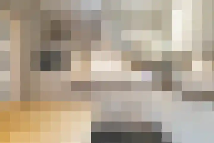 Baronie 21 Oss thumbnail 8