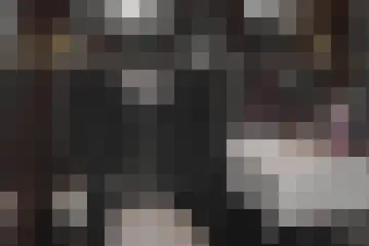 Baronie 39 Oss thumbnail 11