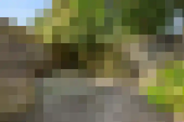 Baronie 39 Oss thumbnail 23